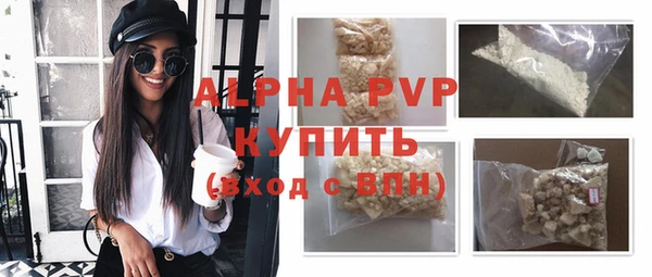 прущие грибы Новодвинск