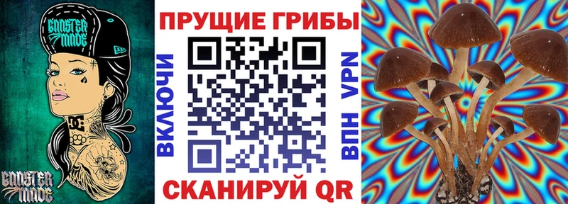 дарк нет официальный сайт  наркошоп  Алзамай  Галлюциногенные грибы MAGIC MUSHROOMS 